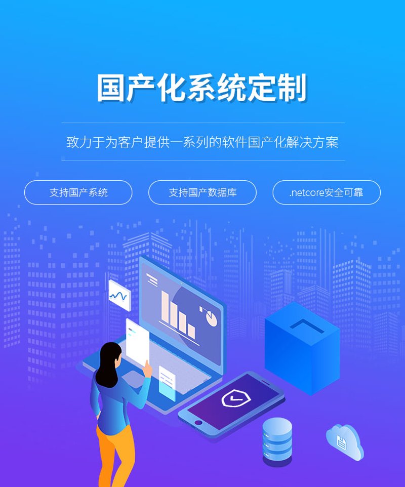 深度解析系统定制行业的最新趋势与机遇